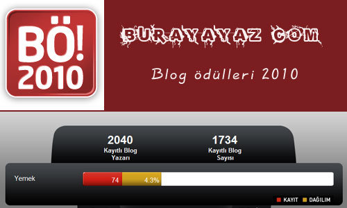 blogodulleri2010 bö2010